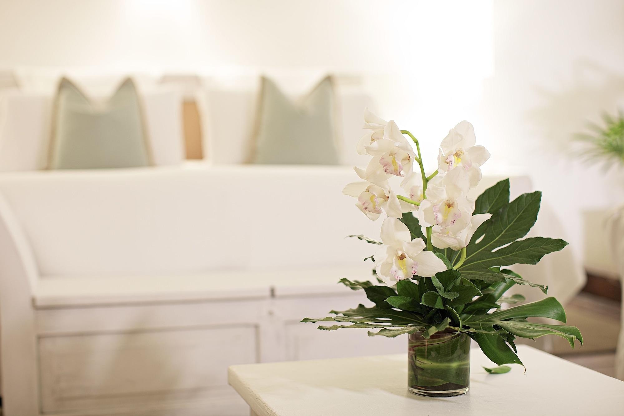 Casa Belle Boutique Hotel Cartagena Ngoại thất bức ảnh